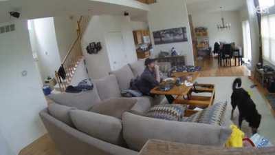 Just trying to enjoy a nice Sunday morning