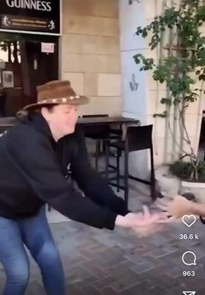 to teach a bird to fly.