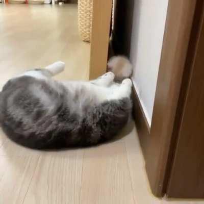 He won't let him come out