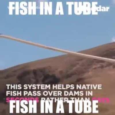 Buna bir anlam veremedim