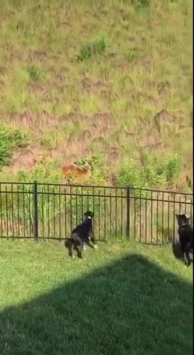 Текай с городу вам пизда