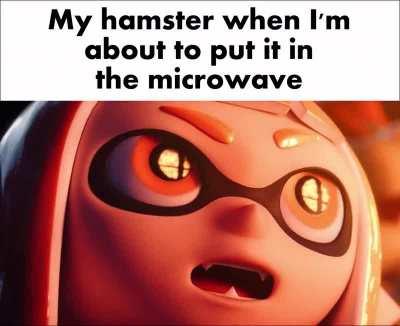 Pop goes the hamster