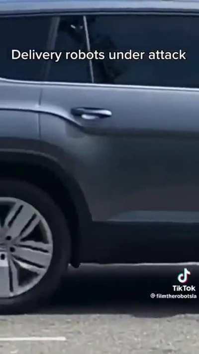 Desta vez estou com os Suecos.. que se f* os robots 🤣