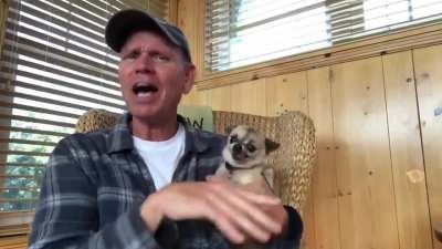 to pet a cute little predator