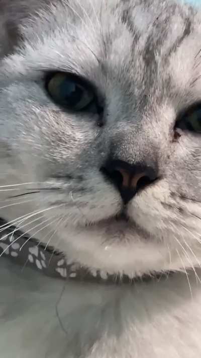 This is your sign to hydrate💧