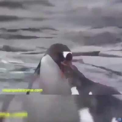 ♪É o amor[…]♪ 😂😂👌