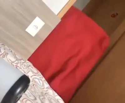 When the Master shows a perfect magic.