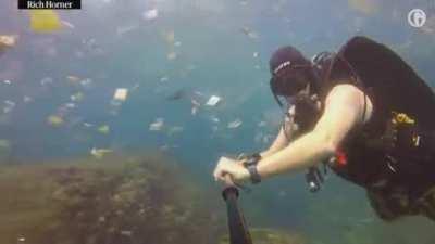 This is what we're doing to our ocean