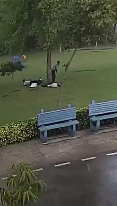 A group of people under a tree get struck by lightning
