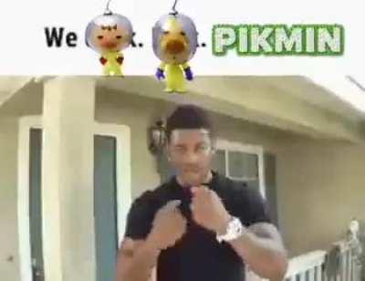 me talking about pikmin (its a special interest and ive been talking about it for 1 hour)