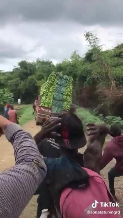 No bananas were harmed in the making of this film