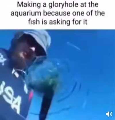 It was asking for it