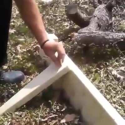 “The other drill, bro”