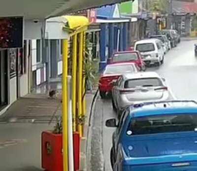 WCGW if I secure my dog to a movable advertising flag