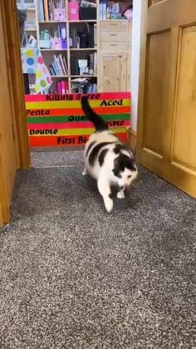 Can Keith jump 11 levels and become legendary?