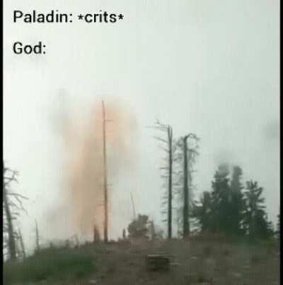 Don't ask me why they would hit a tree