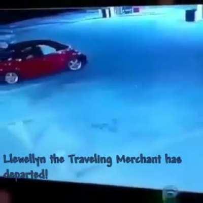 What the FUCK goin' on in Terraria bruh?