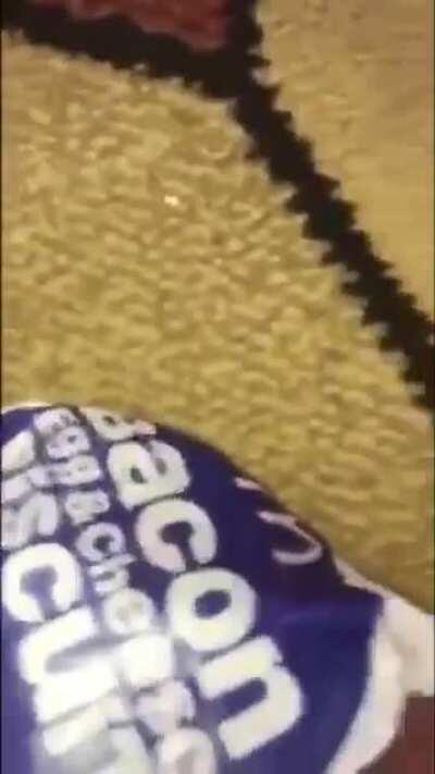 Rate the eats y’all😏