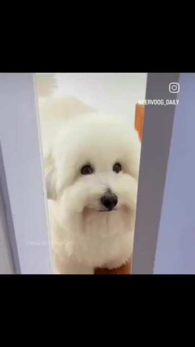 Is it okay if I touch you? ☺️