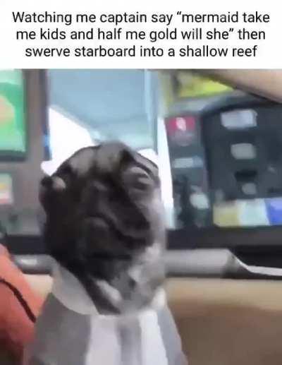 Matey has no time left to mutiny yarrr