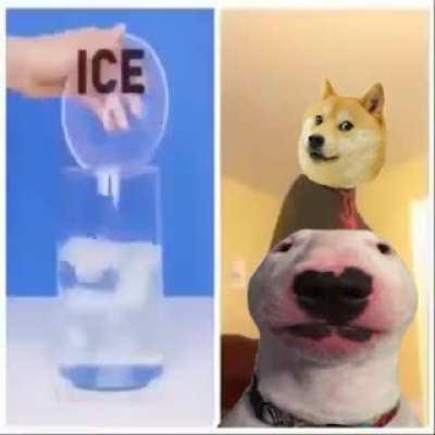 le 21st century humor (doge version) has arrived