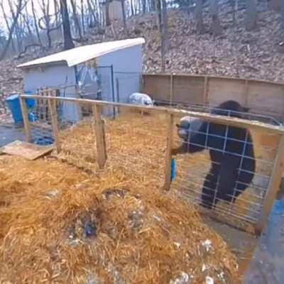 There was an attempt