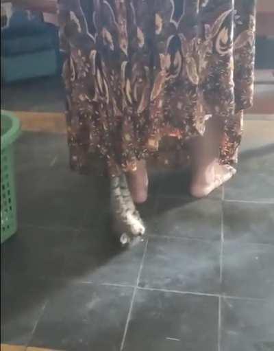 He do the smol spins