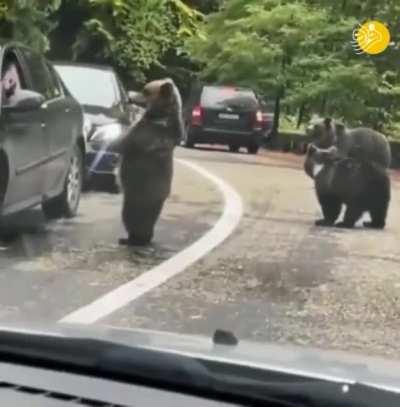 it's rough rn, but we all need a high-five!