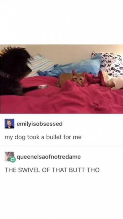 To assassinate the human