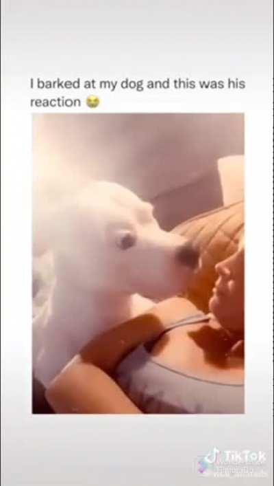 your playing a dangerous game