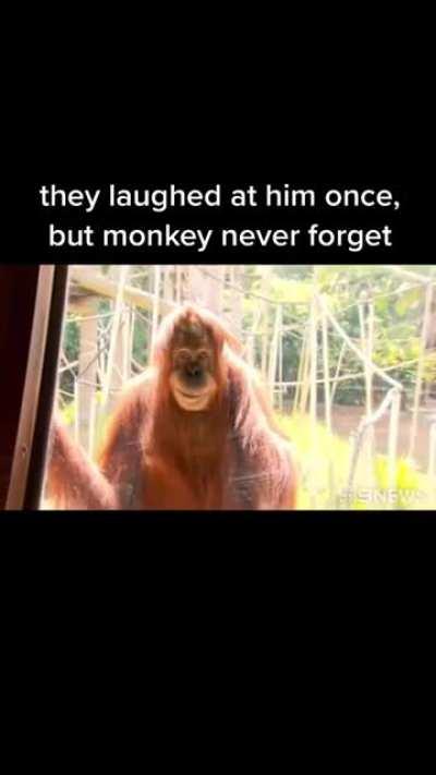 Monke never forget