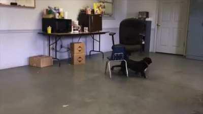 HMK while I jump on this chair!