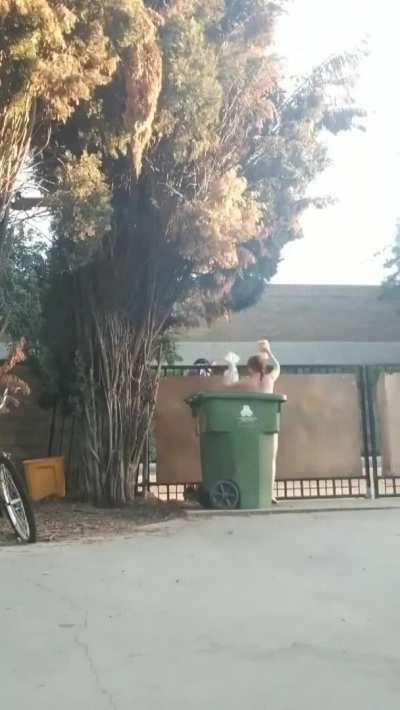 Nude Delivery at the front gate