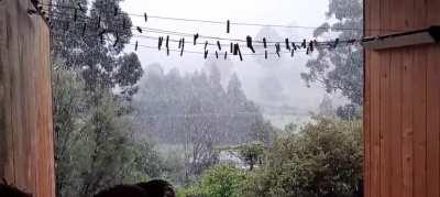 All set up for the virtual gizz concert with the heater on while it snows outside