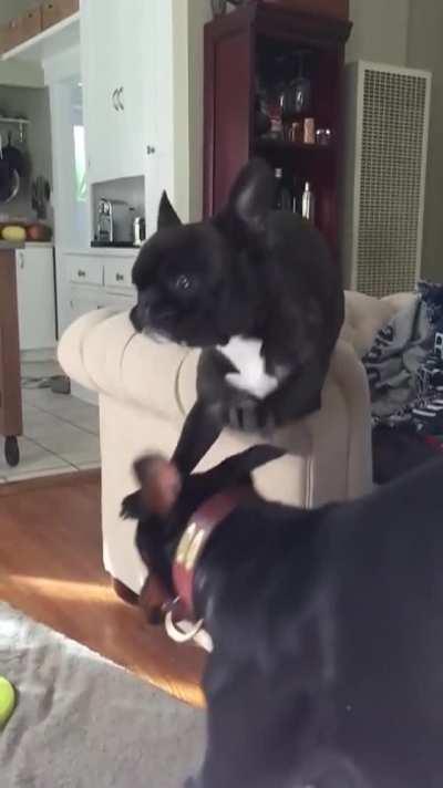 You can see the regret in his eyes. 😶