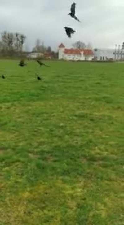 Bob found more friends...xD he had a hell of a day