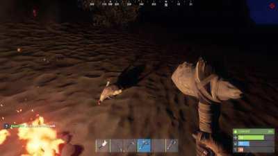 When a dead chicken haunts you