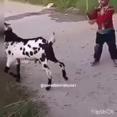 BAAAAAAAAHHHHHHHHHHHh