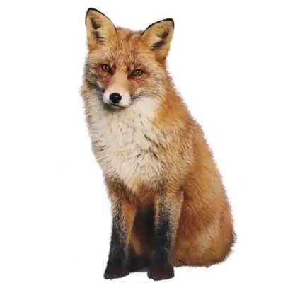 Hi Losers. Bye Losers.