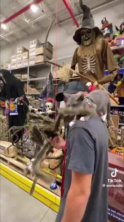 Now we best Friends.