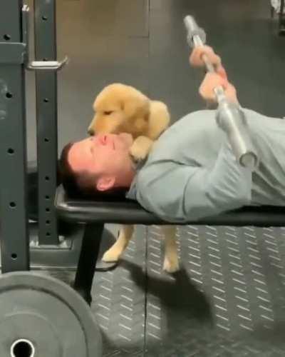 Best spotter