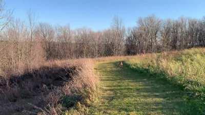 Maximum zoom, medium brakes