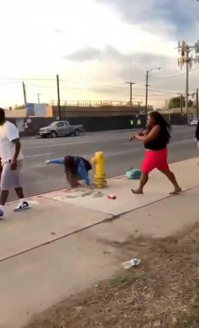 MONSTER SET OF BOOBS GO FLYING DURING WOMEN’S STREET BRAWL