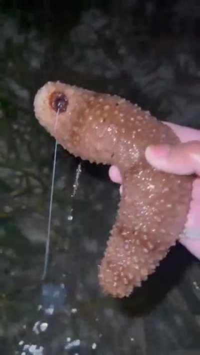 whelp.. that was unexpected