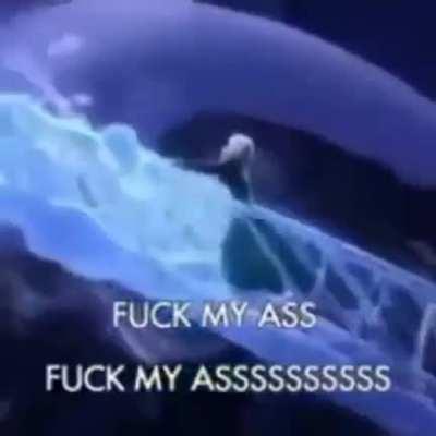 Petycja o chymn r/okko (gone wrong!!11!!)