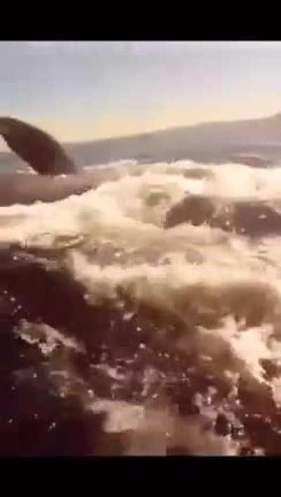 I bet he changed his pants after that.