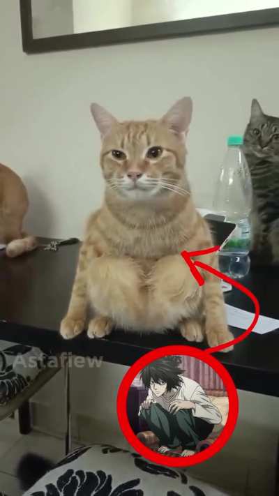 This wunker will solve the Kira case