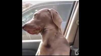 Miller grove shit🪀