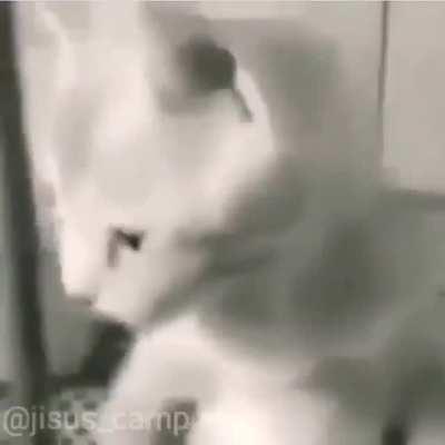 NOOO MI PANAAAA🙏🙏😔😔😔