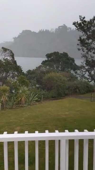 First rainy day at my new house. Feelsgoodman